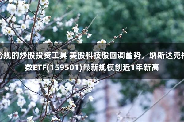 合规的炒股投资工具 美股科技股回调蓄势，纳斯达克指数ETF(159501)最新规模创近1年新高