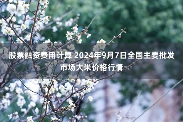 股票融资费用计算 2024年9月7日全国主要批发市场大米价格行情