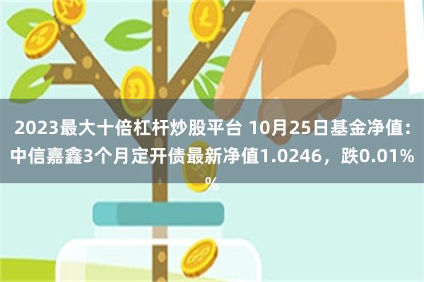 2023最大十倍杠杆炒股平台 10月25日基金净值：中信嘉鑫3个月定开债最新净值1.0246，跌0.01%