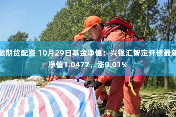 做期货配资 10月29日基金净值：兴银汇智定开债最新净值1.0477，涨0.01%