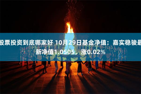 股票投资到底哪家好 10月29日基金净值：嘉实稳骏最新净值1.0505，涨0.02%