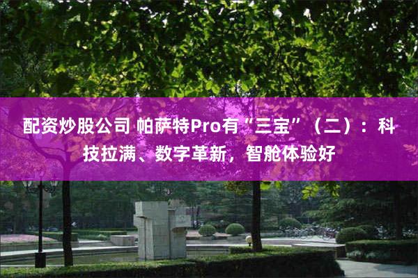 配资炒股公司 帕萨特Pro有“三宝”（二）：科技拉满、数字革新，智舱体验好