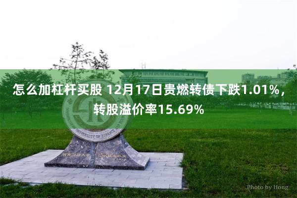 怎么加杠杆买股 12月17日贵燃转债下跌1.01%，转股溢价率15.69%