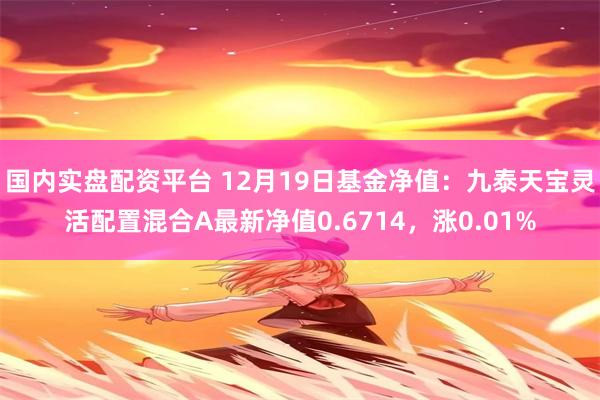 国内实盘配资平台 12月19日基金净值：九泰天宝灵活配置混合A最新净值0.6714，涨0.01%