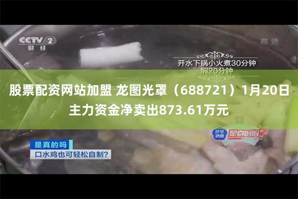 股票配资网站加盟 龙图光罩（688721）1月20日主力资金净卖出873.61万元