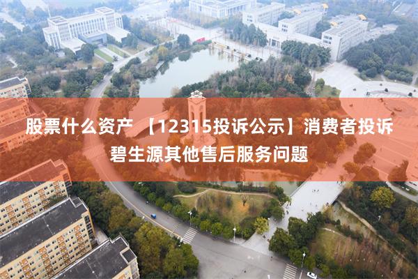 股票什么资产 【12315投诉公示】消费者投诉碧生源其他售后服务问题